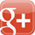 Google +1
